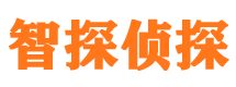 岭东找人公司